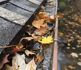 Gutter Cleaning